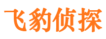 漠河外遇调查取证